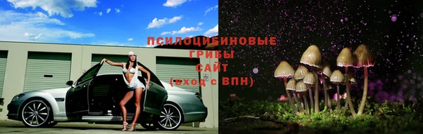 крисы Богородицк