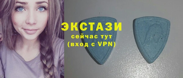 крисы Богородицк