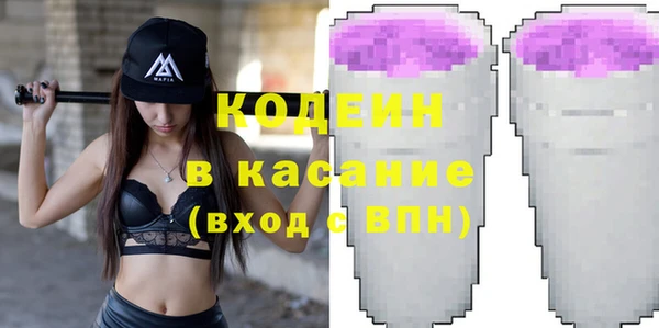 крисы Богородицк
