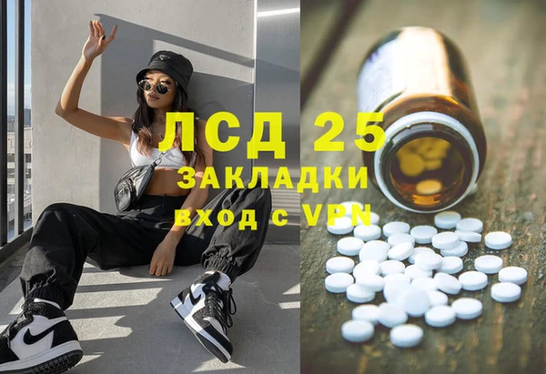крисы Богородицк