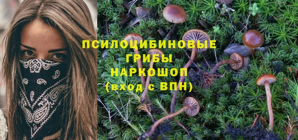 mix Богданович