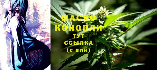крисы Богородицк