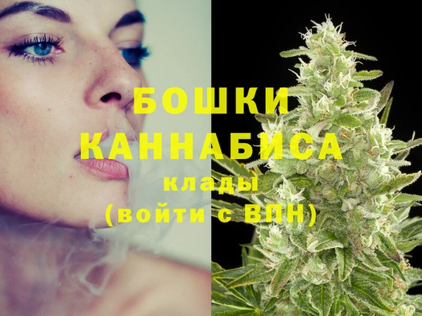 крисы Богородицк